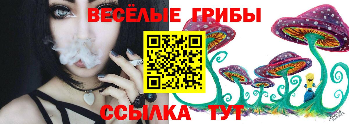 хочу наркоту  Вход с VPN  Павлово  Псилоцибиновые грибы Psilocybe 